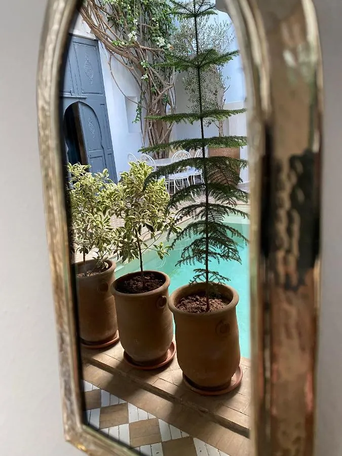 Riad Magellan Yoga And Spa Marrakesch